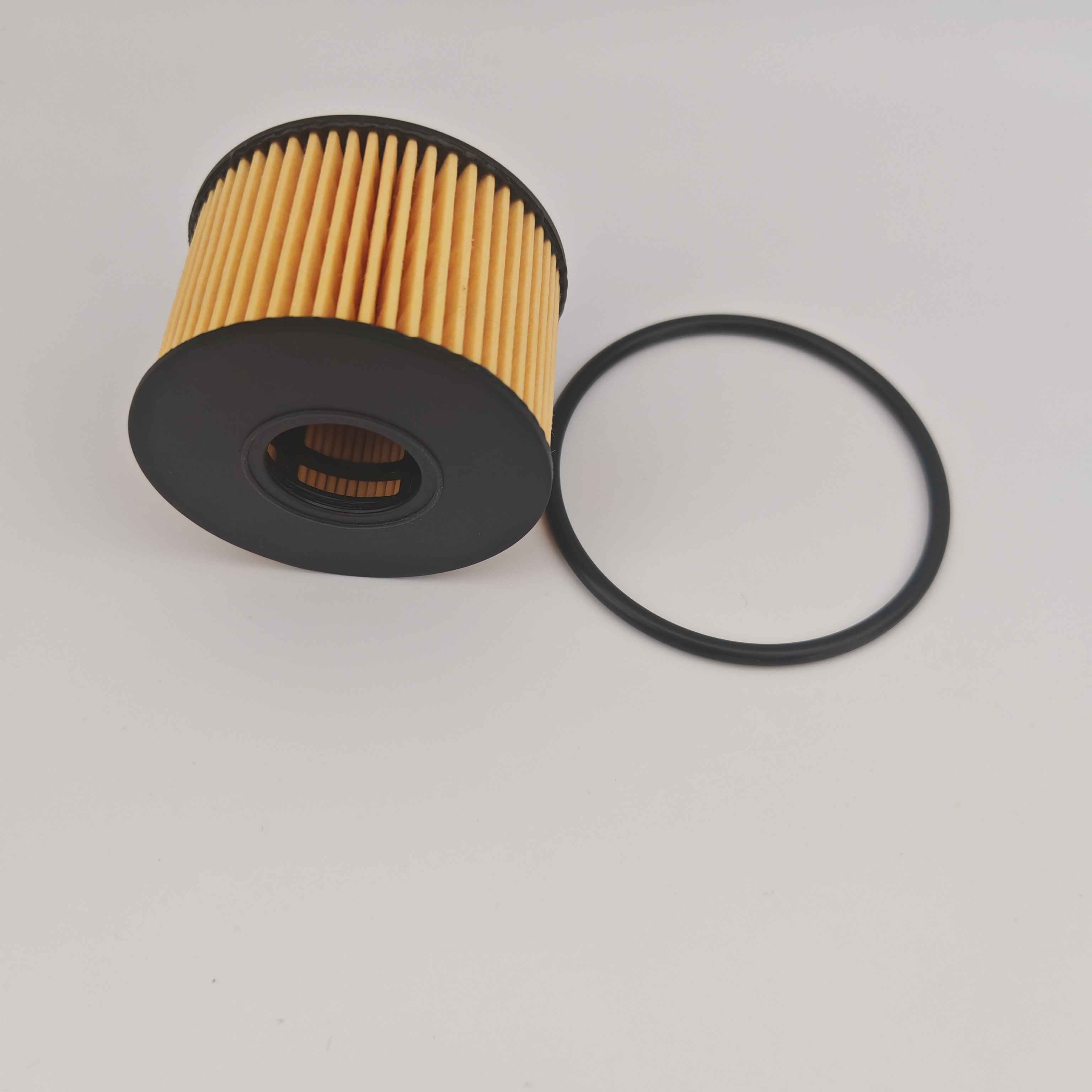 JMC के लिए MS1-6744-AA OX1243D FOH5013 तेल फिल्टर